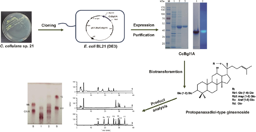 1597281928279409.png blob.png