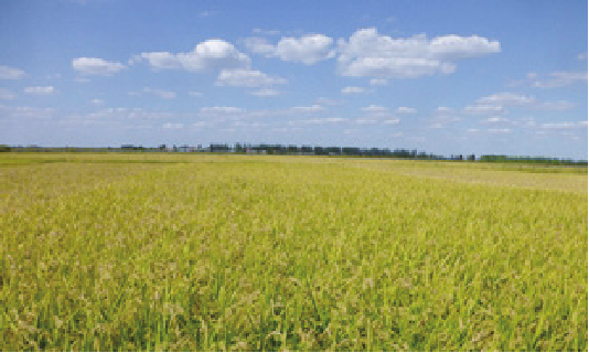 1597651623751611.png blob.png