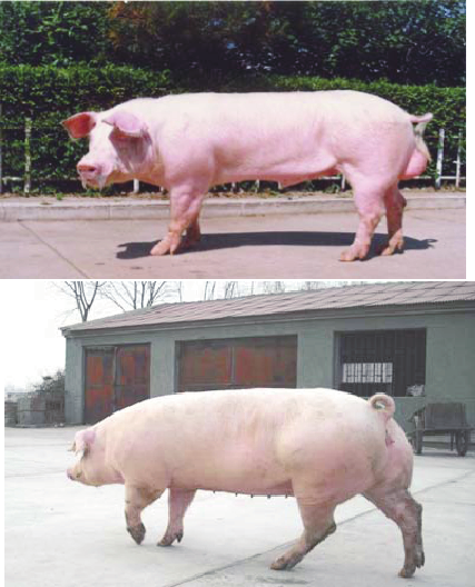 1597652087832401.png blob.png